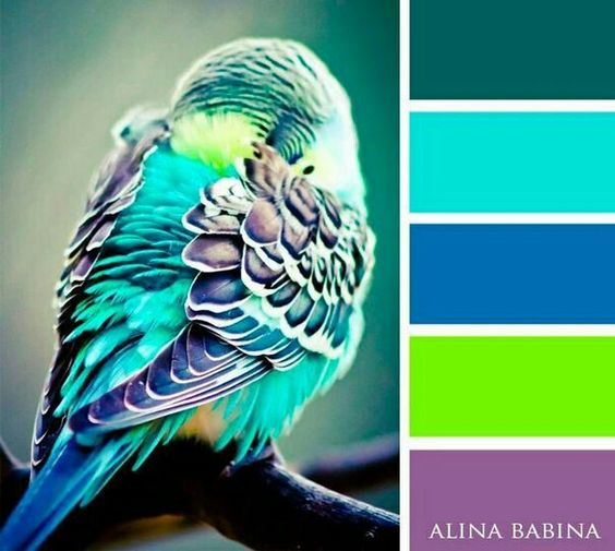 Color Palettes pinned to BettesMakes