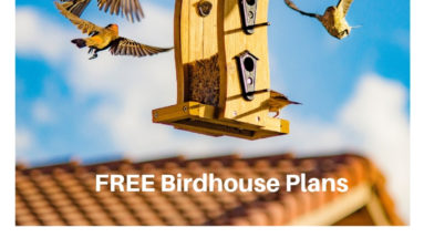 How to Make a Gorgeous Birdhouse