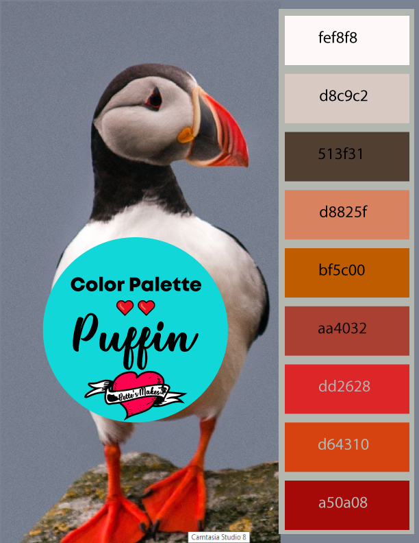 Weekly color palette - the Puffin - such an incredible bird - For the love of birds - you can use this color palette from nature for all your designs! #colorpalette #bird