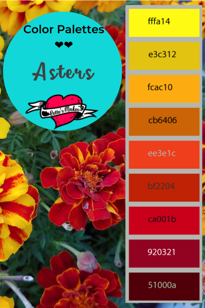 Wow Fall Asters from a roof top garden! These colors will take your breath away - imagine these colors as part of your DIY Home Decor project or making that next color choice for a paper craft! You will love these colors and many more from https://BettesMakes.com #colorpalette #color #DIYhomedecor #papercraft #craft