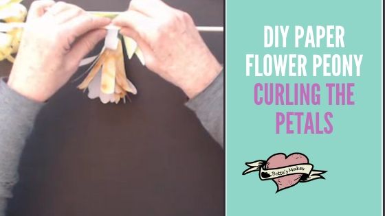 DIY Paper Flower Peony - Curling the  Petals - BettesMakes