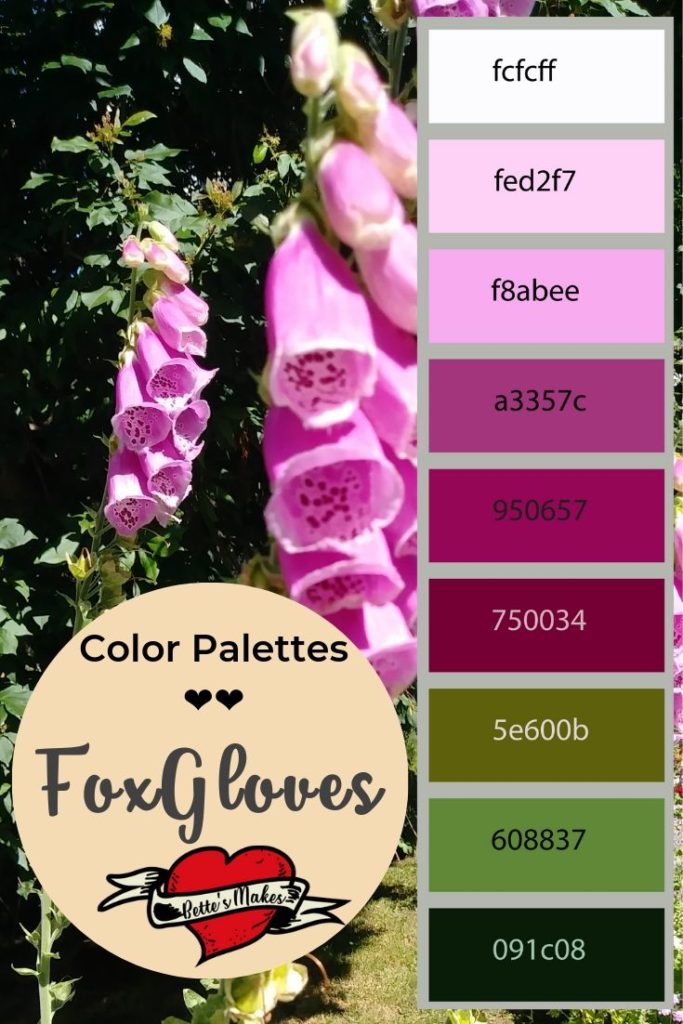 FoxGloves provide us with beauty in the early summer and a color palette that is great for DIY Home Decor. BettesMakes.com