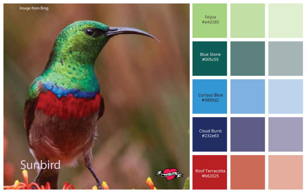 Color Guide - The Sunbird