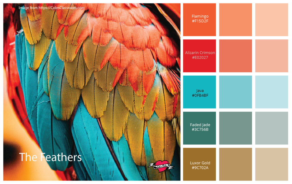 Color Guide - The Feathers