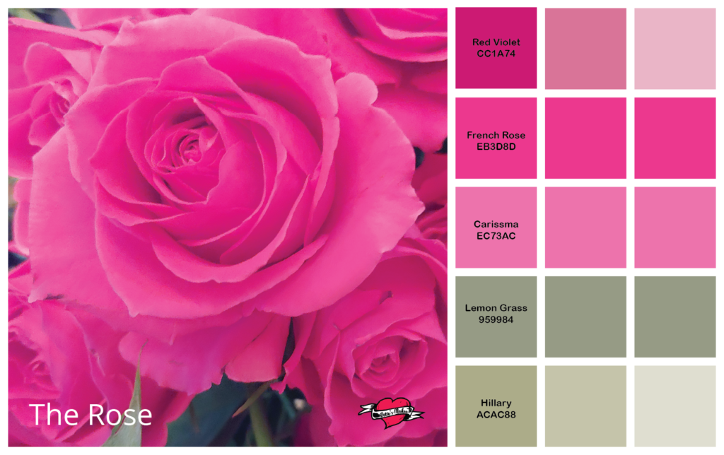 These beautiful roses were a Valentine's gift! The colors are so awesome that you could add this palette toa all your DIT Home Decor needs when it comes to pinks - ahhh so perfect! #colorpalette #diyhomedecor #papercraft