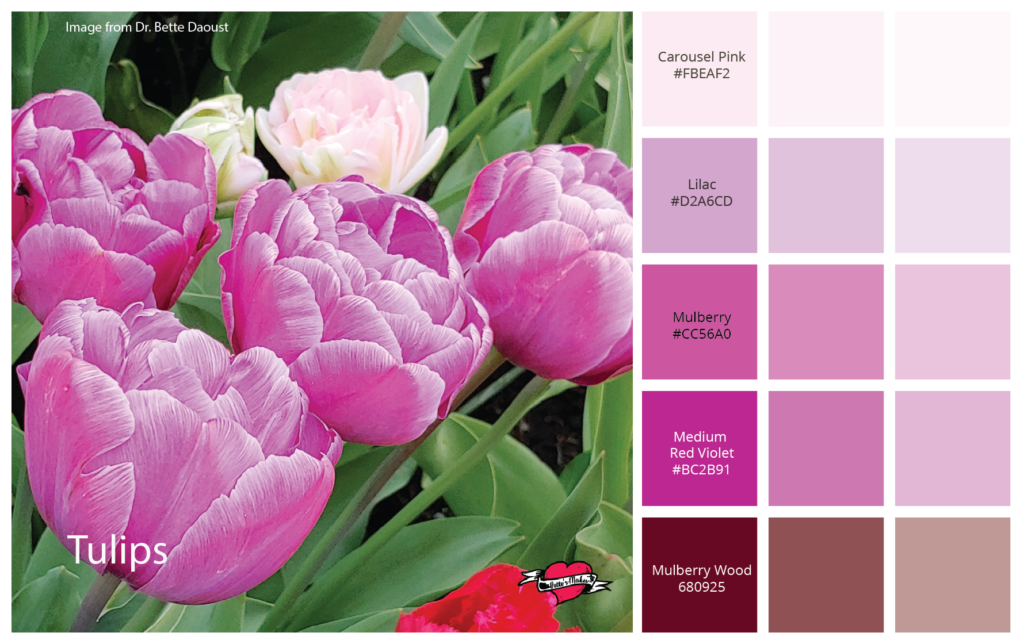 Weekly Color Palette - Tulips of Spring