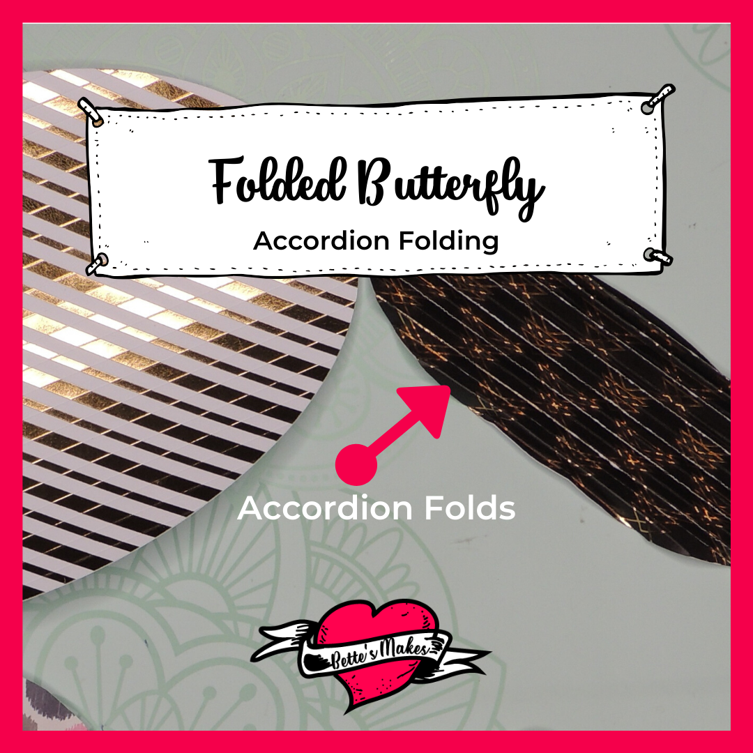 Folded Butterfly - Accordion Folds